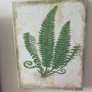 Canvas Green Fern Picture Art, Frameless